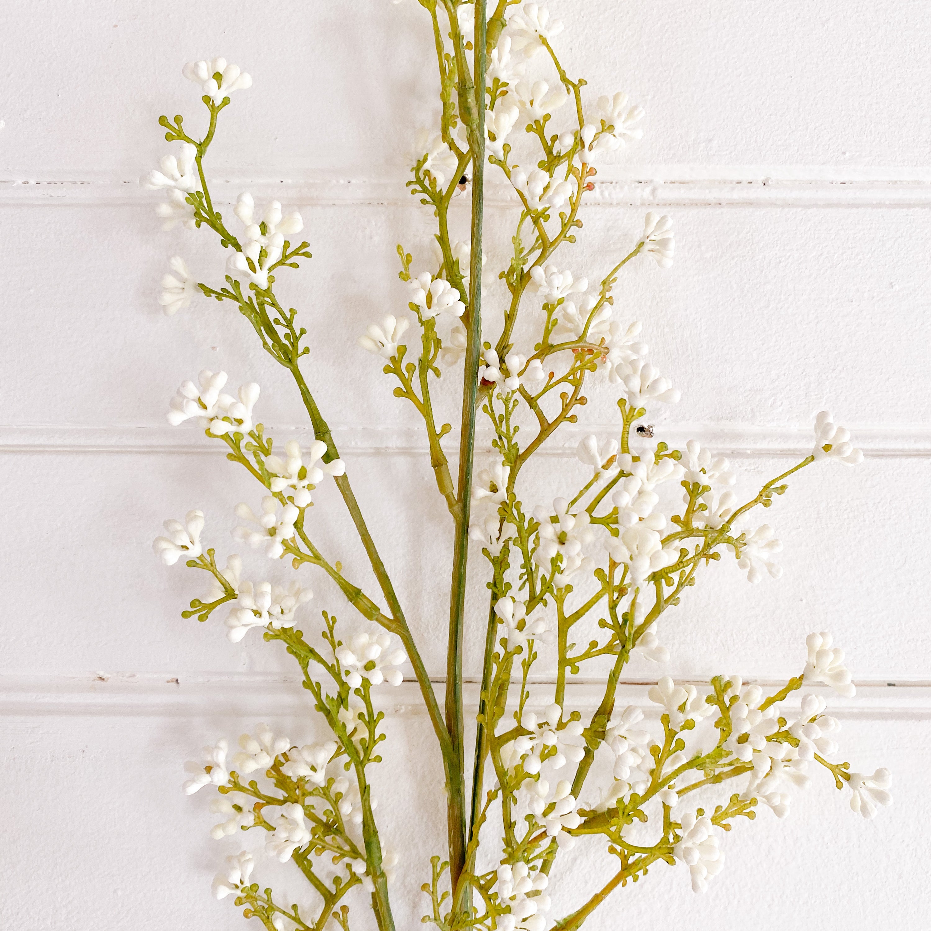 Long Stem Petite White Berry Spray Close Up
